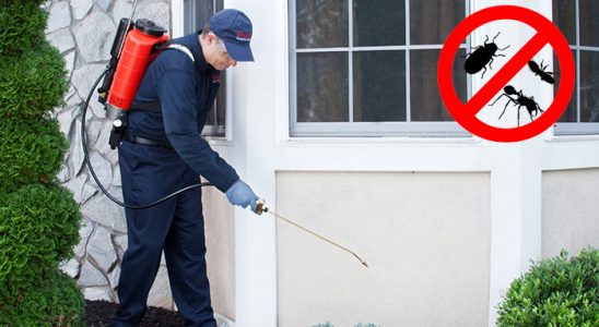 Tefenni Fare İlaçlama böcek ilaçlama ve haşere kontrolü — ilaclama-tr.com